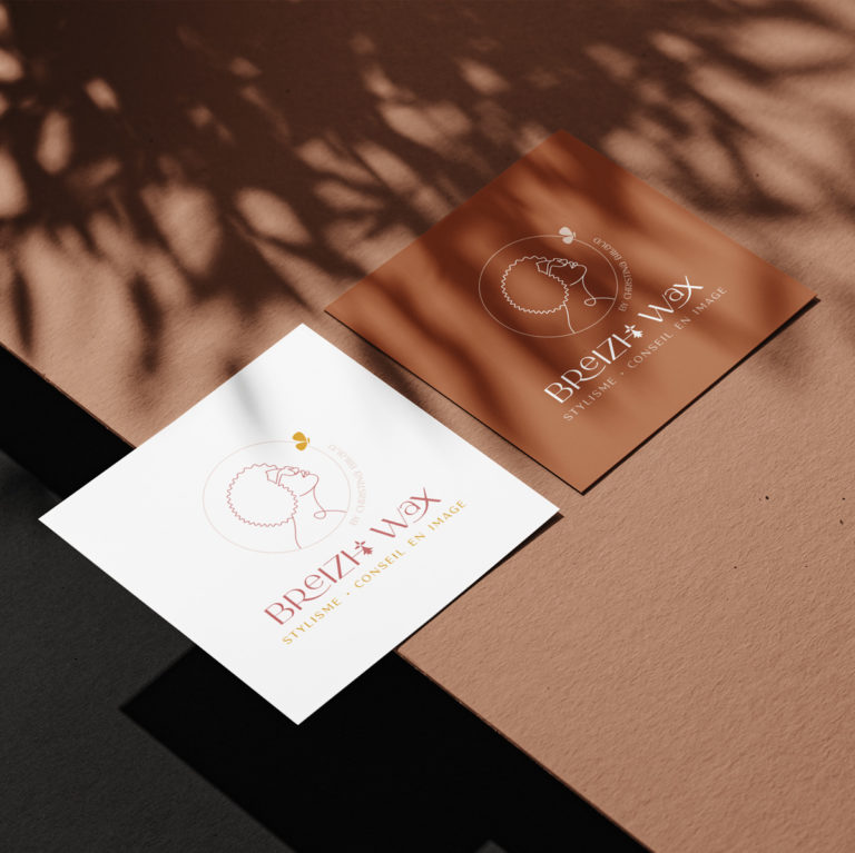 Conception de logo - Stylisme & Conseils en image